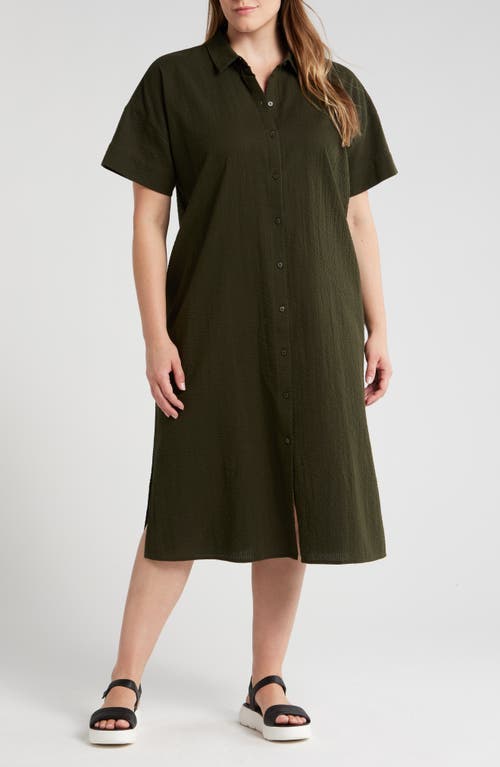 Shop Eileen Fisher Short Sleeve Organic Cotton Shirtdress In Seaweed