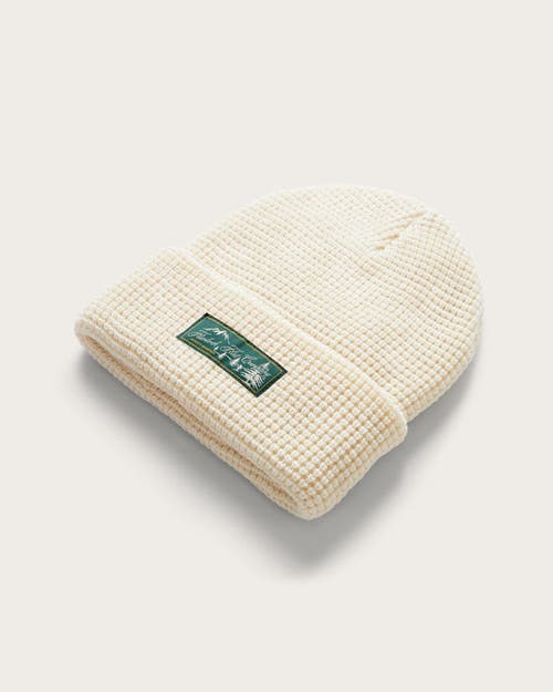 Hemlock Meadows Waffle Beanie In Chalk