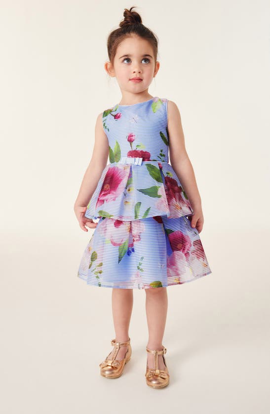 Shop Baker By Ted Baker Kids' Paper Floral Tiered Dress In Blue