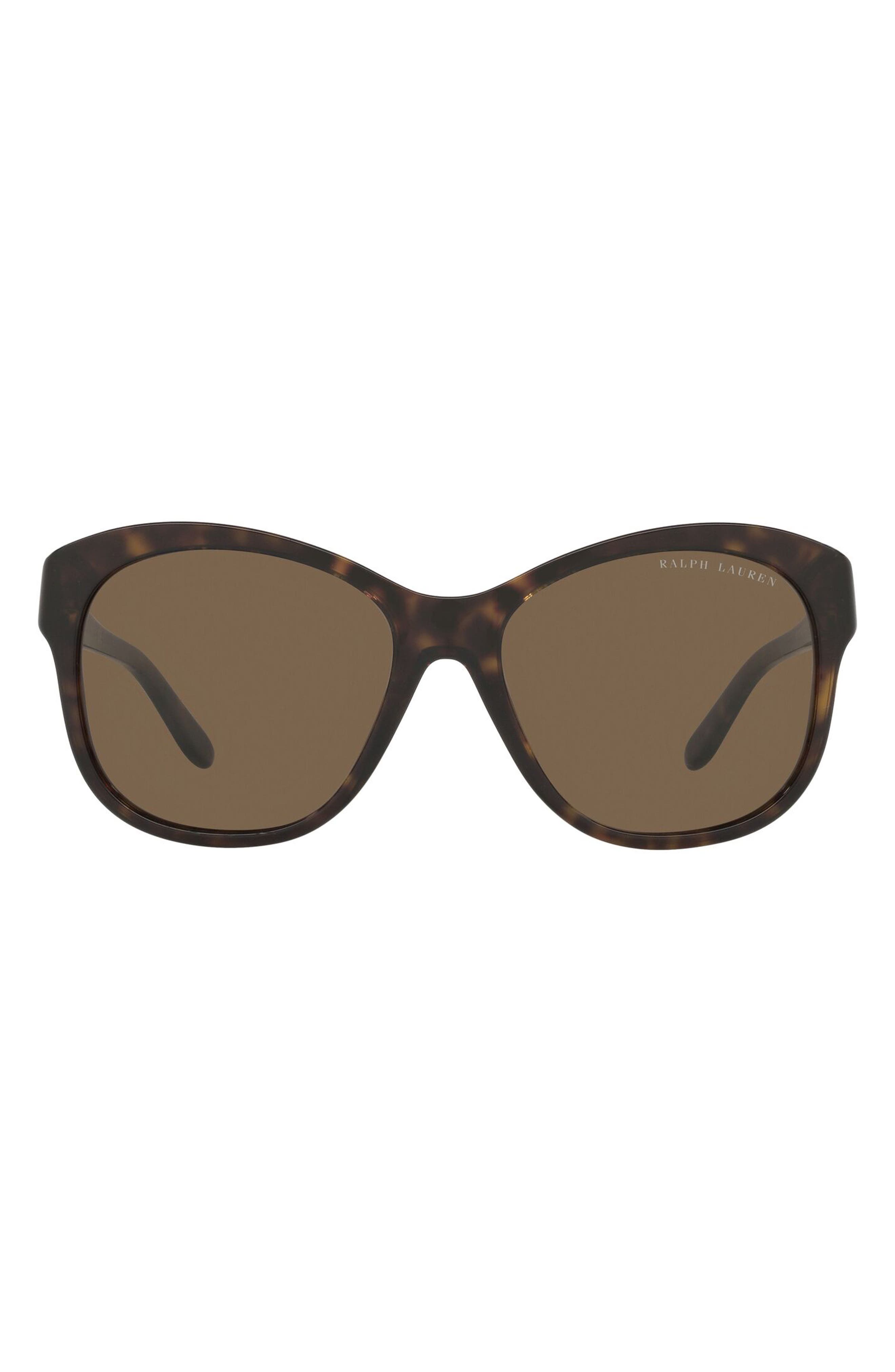 Ralph Lauren 55mm Square Sunglasses in Shiny Dark Havana/brown at Nordstrom