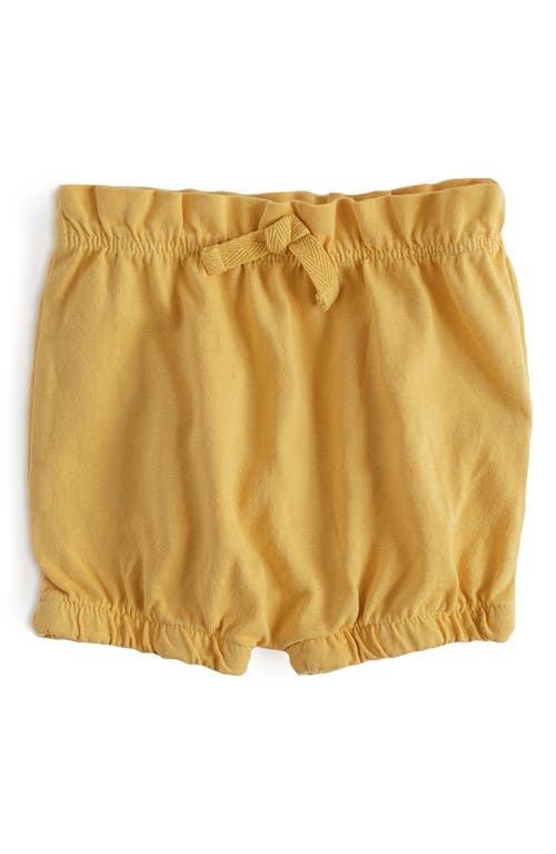 Pehr Washed Organic Cotton Shorts in Soft Marigold at Nordstrom