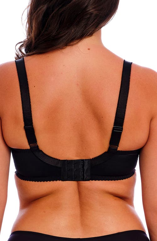 Fantasie Emmaline Underwire Padded Plunge Bra In Midnight