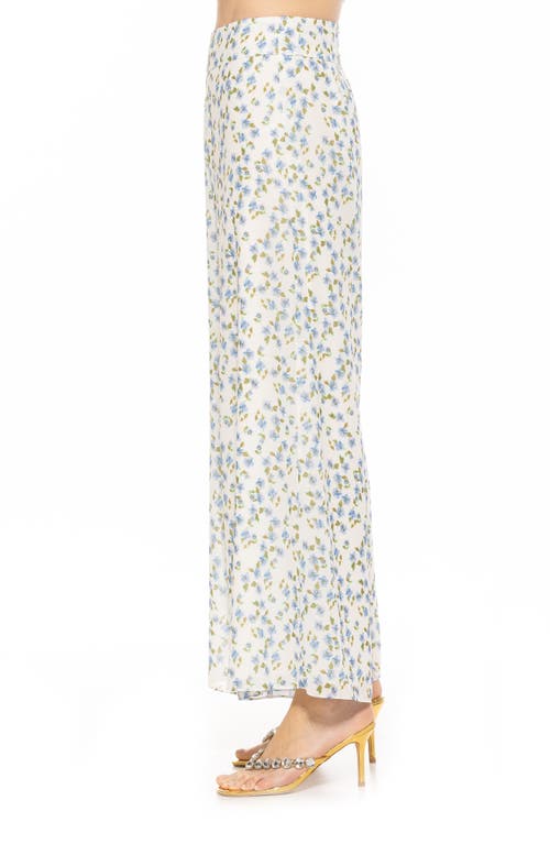 Alexia Admor Imogen Chiffon Pant In Blue Ditzy