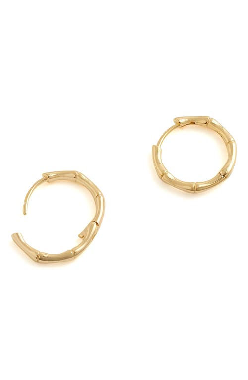 Demi Fine Bamboo Hoop Earrings in 14K Gold