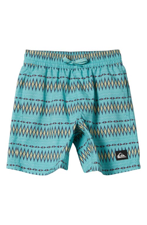 Quiksilver Kids' Everyday Heritage Volley Swim Trunks at Nordstrom,