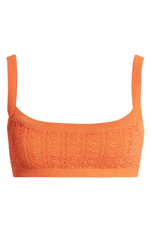 Shop Mistress Rocks Dainty Square Neck Pointelle Bralette In Tangerine