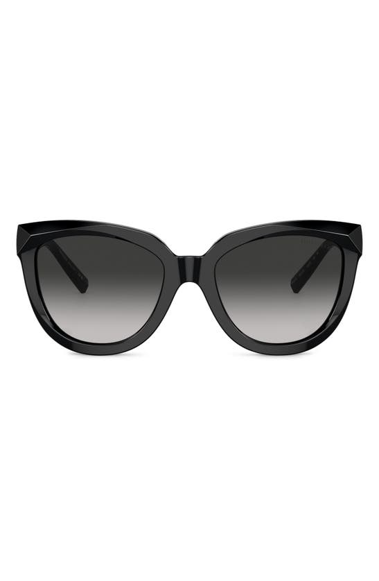 Tiffany & Co . 53mm Gradient Cat Eye Sunglasses In Black