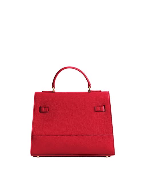Teddy Blake Kim Stampato 11" In Red