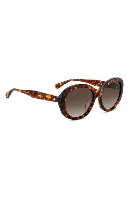 Kate Spade Avah 56mm Gradient Round Sunglasses In Havana/brown Gradient