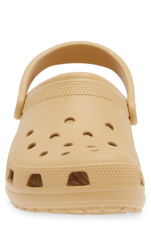 Shop Crocs ™ 'classic' Clog In Wheat