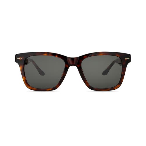 Shop Italia Independent Accelerazione Sunglasses In Havana