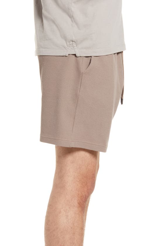 Shop Native Youth Drawstring Stretch Cotton Waffle Shorts In Taupe