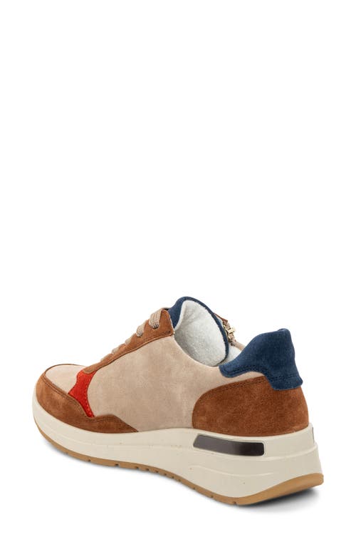 Shop Ara Gardenia Wedge Sneaker In Nuts/sand Pump/sesame