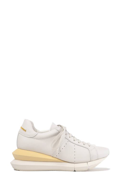 Shop Paloma Barceló Paloma Barcelo Alenzon Wedge Sneaker In White/gesso-s.yellow