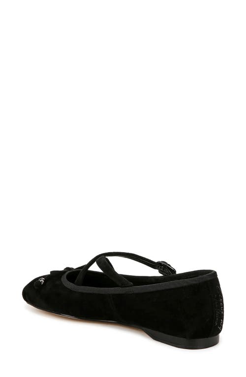 Circus Ny By Sam Edelman Zuri Ballet Flat In Black Suede