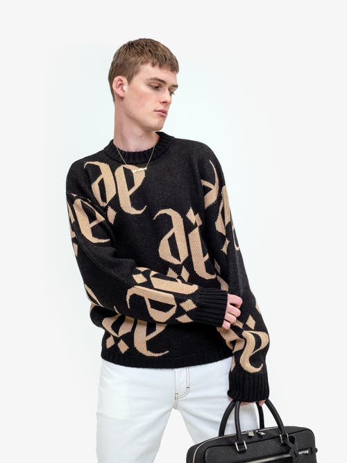 PLACE OF ELMS PLACE OF ELMS NERO CASTANO MONOLINK SWEATER 