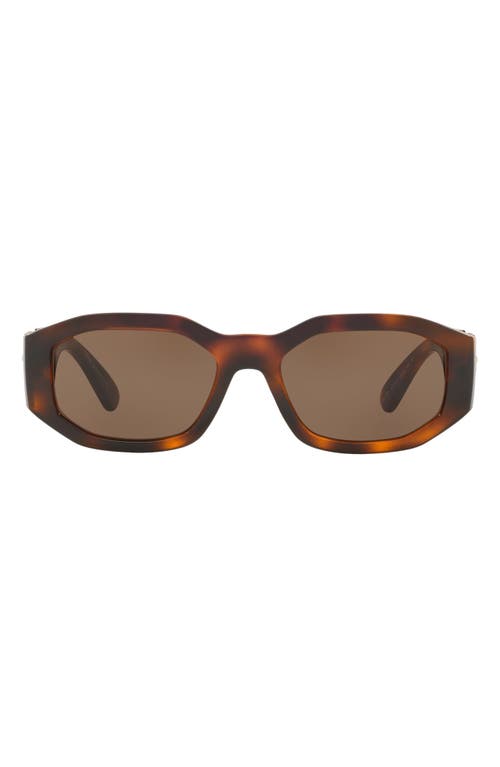 Versace Biggie 53mm Round Sunglasses In Havana/brown Solid