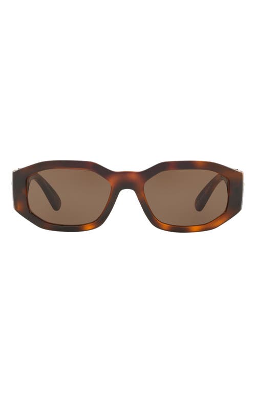 Shop Versace Biggie 53mm Round Sunglasses In Havana/brown Solid