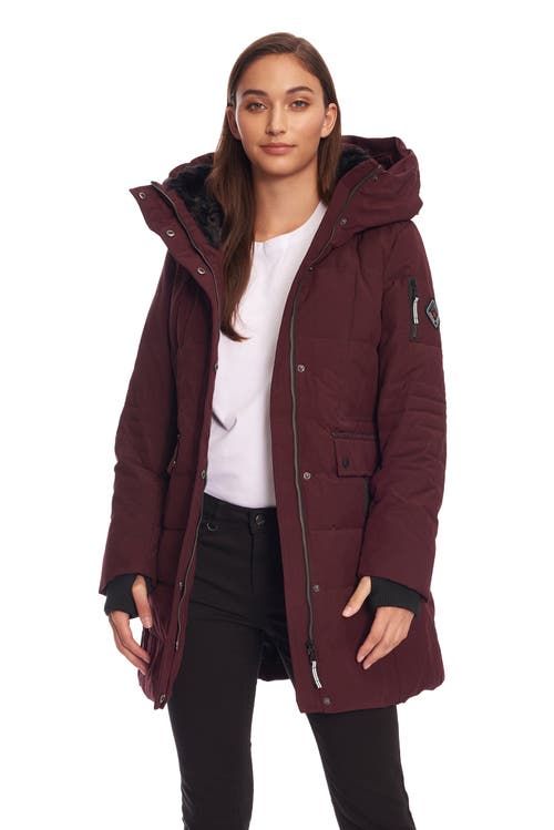 Shop Alpine North Kootney In Grape