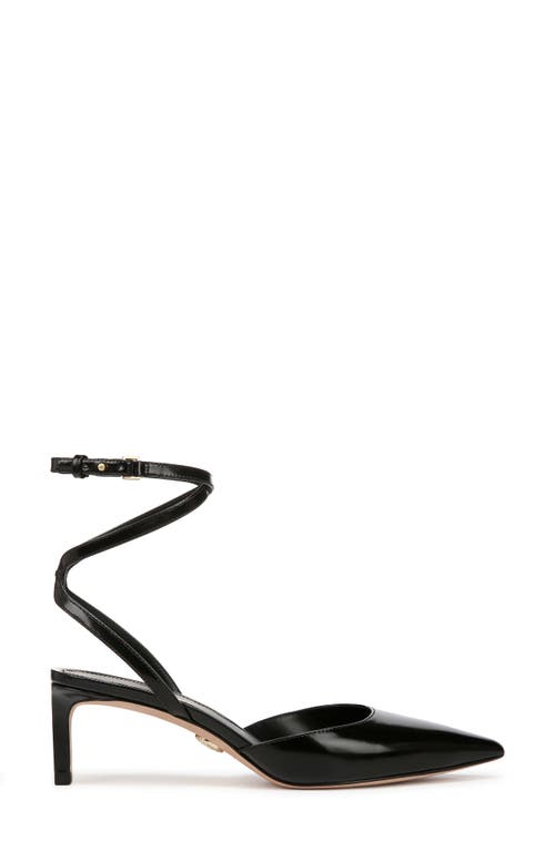 Shop Veronica Beard Colette Ankle Strap Pointed Toe Pump In Black