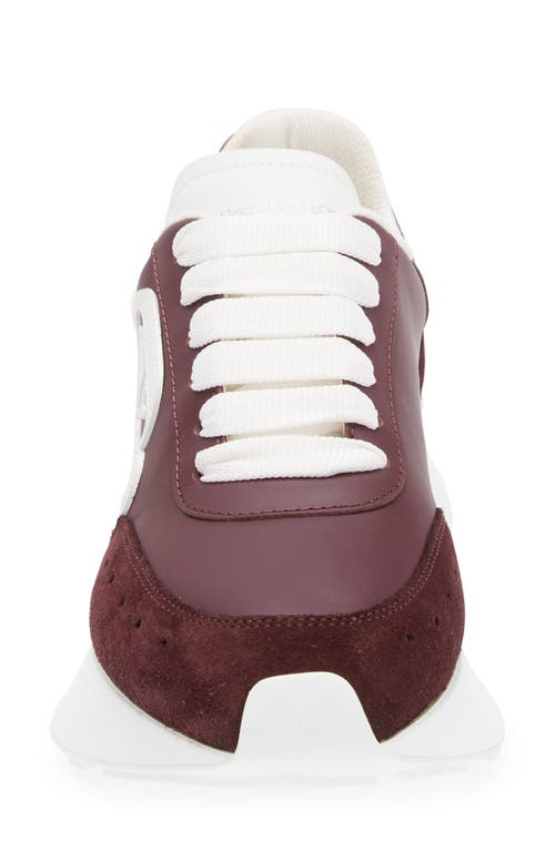 Alexander Mcqueen Seal Runner Sprint Sneaker In Burgundy/white