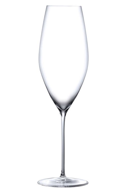 NUDE Zero Grace Champagne Glass in Clear