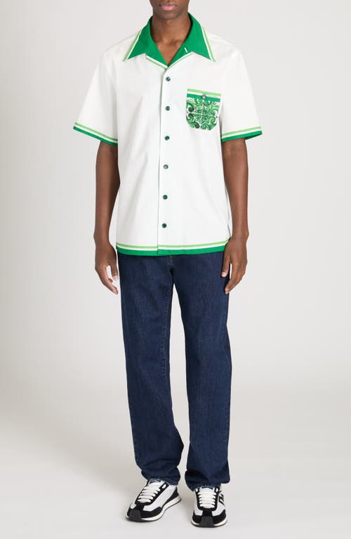 Shop Dolce & Gabbana Dolce&gabbana Majolica Cotton Camp Shirt In Maiolica 1l Verde