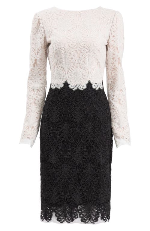 Shop Tadashi Shoji Colorblock Long Sleeve Corded Lace Cocktail Dress In Ivory/black