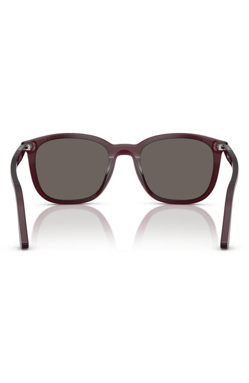 Persol 52mm Polarized Pillow Sunglasses In Burgundy