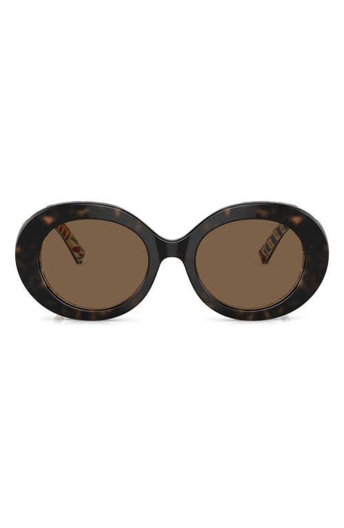 Dolce & Gabbana 51mm Oval Sunglasses in Dark Brown at Nordstrom