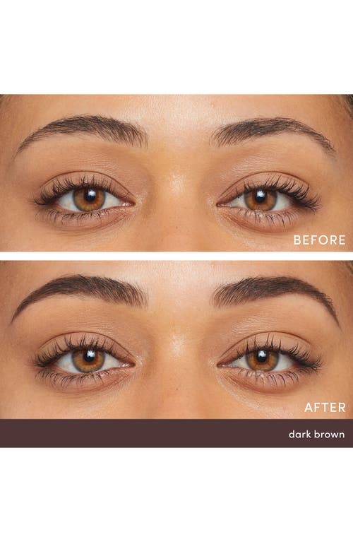 Jane Iredale Purebrow Brow Powder In Dark Brown