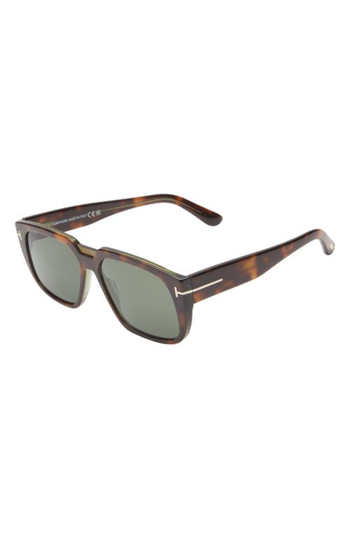 Tom Ford 56mm Square Sunglasses In Havana/green