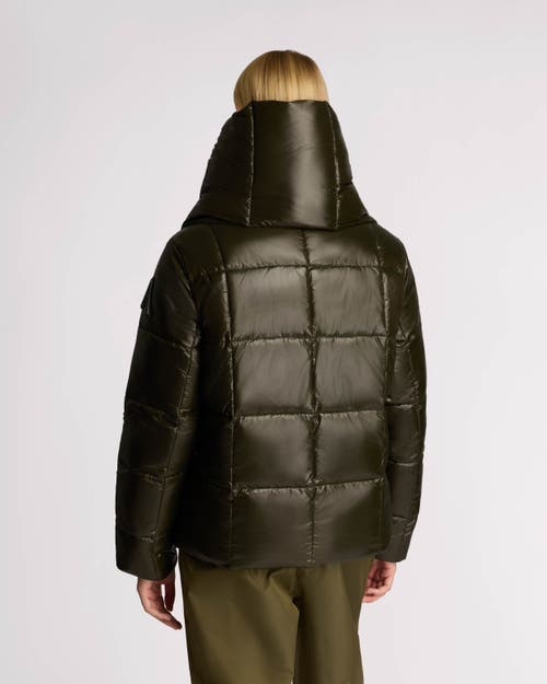 Alpenhaus Winekka 2-in-1 Reversible Puffer With Oversized Removable Scarf In Moss
