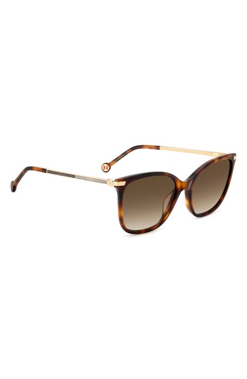 Carolina Herrera 55mm Gradient Rectangular Sunglasses In Havana/brown Sf