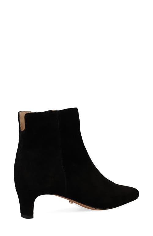 Shop Pelle Moda Galia 2 Bootie In Black