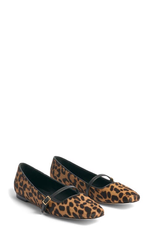 Marion Parke Genuine Calf Hair Ballet Flat In Leopard