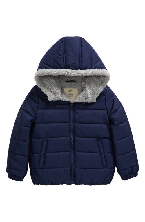 Tucker + Tate Kids' Hooded Puffer Coat in Navy Peacoat 