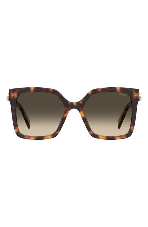 Moschino 55mm Gradient Square Sunglasses in Havana 2/green Shaded at Nordstrom