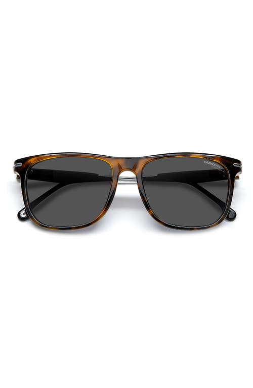 Carrera Eyewear Polarized Sunglasses in Havana /Grey