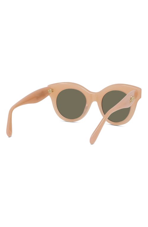 Shop Loewe Curvy 49mm Small Round Sunglasses In Shiny Pink/brown