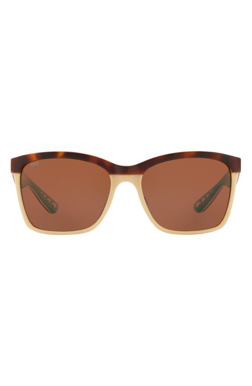 55mm Polarized Square Sunglasses in Retro Tortoise