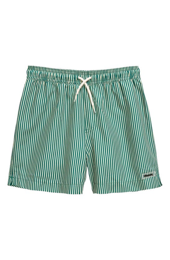 Pacsun Kids' Stripe Swim Trunks In Stripe Green