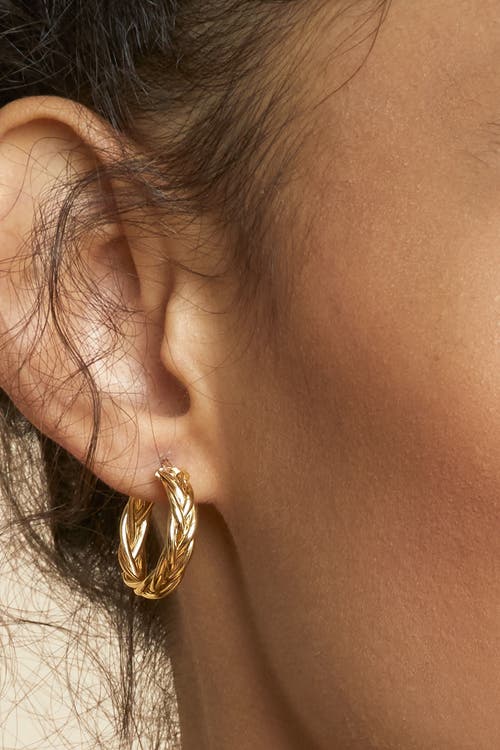 Oradina 14k Yellow Gold Caesar Midi Hoops In Yellow Gold