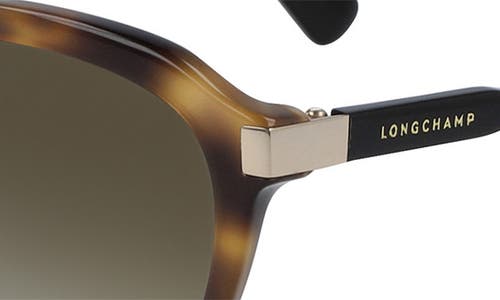 Shop Longchamp Le Pliage 56mm Gradient Tea Cup Sunglasses In Havana/black