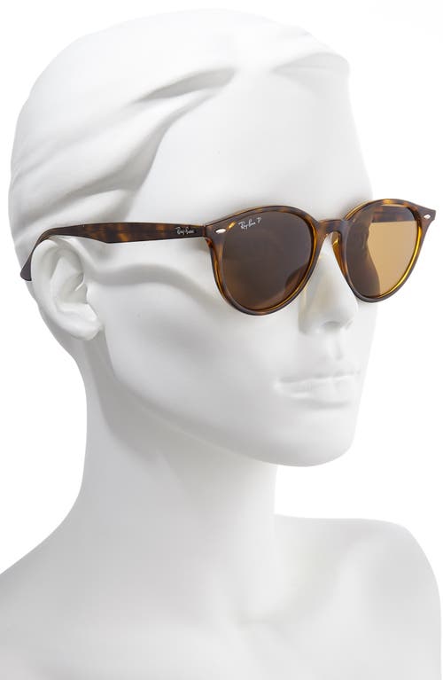 Shop Ray Ban Ray-ban Phantos 53mm Polarized Round Sunglasses In Havana/brown Solid