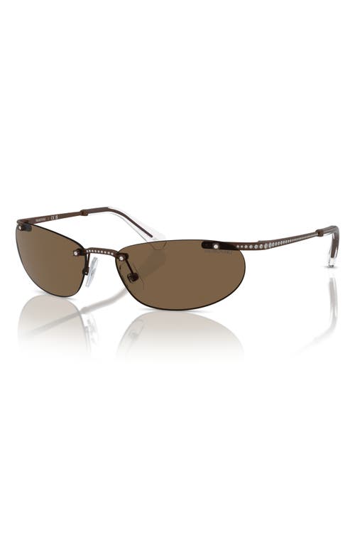 Shop Swarovski 59mm Oval Sunglasses In Matte Brown