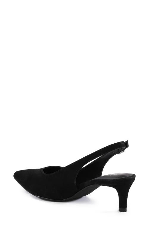 Shop Seychelles Candlelight Slingback Pointed Toe Kitten Heel Pump In Black