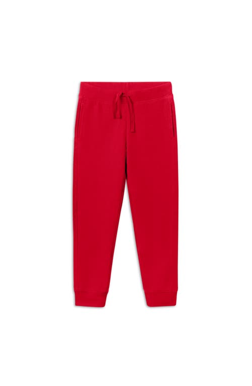 Shop Primary The Jogger In Cherry