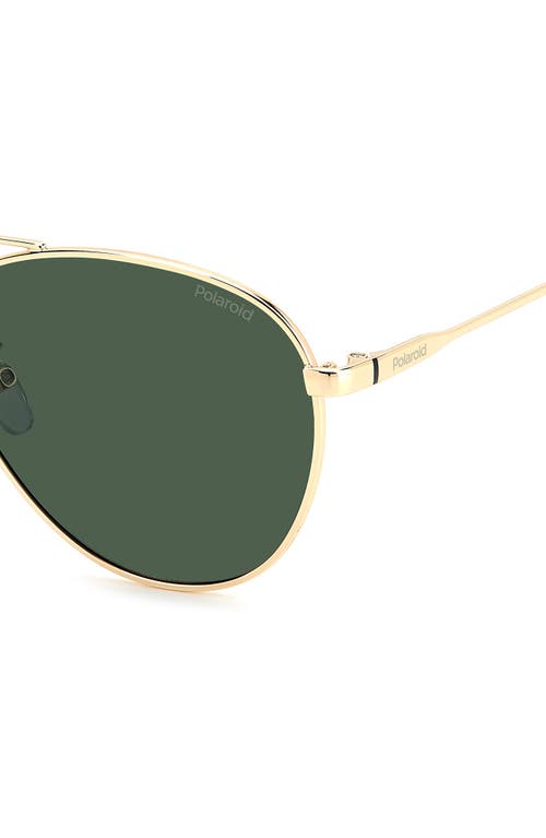Polaroid 60mm Polarized Aviator Sunglasses In Gold Green/green Polarized