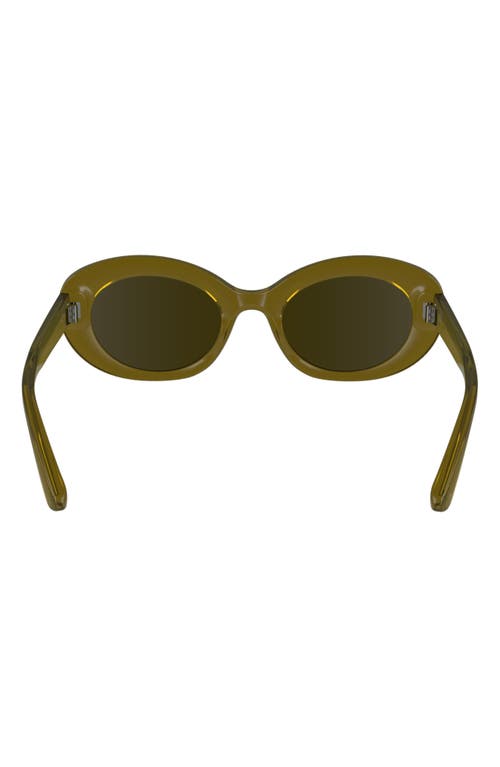 Longchamp Le Pliage 50mm Oval Sunglasses In Transparent Brown